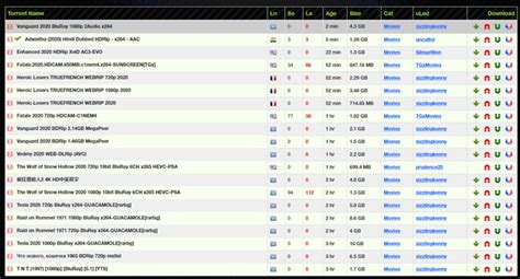 solidtorrents|torrentz2k xyz.